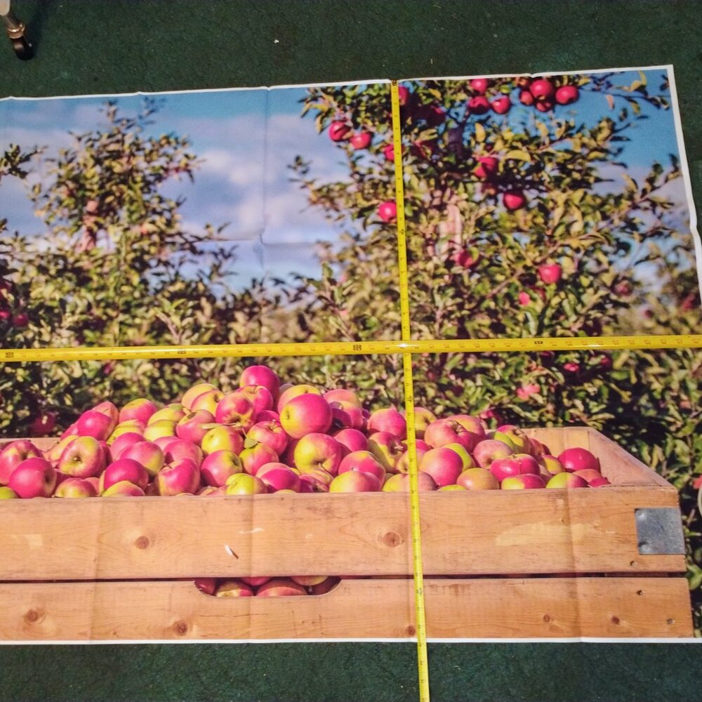 Photo backdrop/banner - Picture 2 of 4